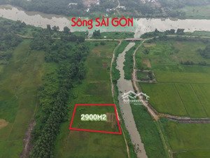 bán đất cây lâu năm cạnh sông sài gòn thoáng mát xây dựng đc, giá rẻ dưới 1tr/m2