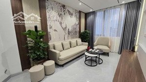 nhà ngọc khánh, ngõ to thông vừa ở vừa kinh doanh, vf3 qua nhà dân xây kcbt tặng nội thất 40m2*4t