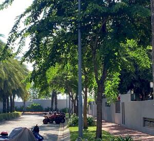 Cần bán biệt thự vườn, 1 trệt 2 lầu 5PN 6WC, 454m2 bàn giao thô, sổ hồng hoàn công, giá chỉ 50 tỷ TL, Lh: 0388668882 gặp Tâm ( zalo )