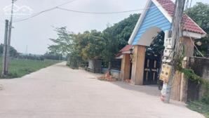 bán đất lúa 26x70m( 1820m2) giá 6 tỷ 250 triệu , Đức Hòa Thượng, Đức Hòa, Long An.