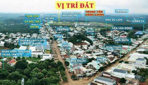 the seahorse central bình phước trung tâm bom bo