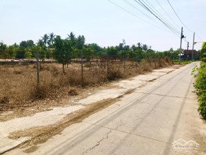 cần bán gấp vườn cây ăn trái tại đường 873b, xã tân tây, gò công đông, tiền giang, 2,95 tỷ, 3000m2