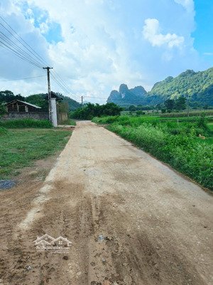 bán đất thổ cư 2.000m2 chỉ 1,x tỉ