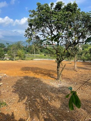 chính chủ cần bán lô đất 1800 m2 tại thôn chóng yên bài ba vì