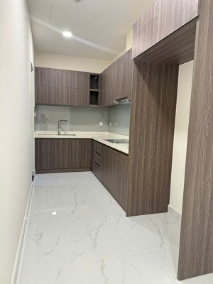 cho thuê căn hộ diamond centery, 16 triệu, 86m2, view đẹp, sơn kỳ, tân phú, hcm