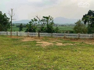 siêu phẩm đất vân hòa, ba vì view núi 1800m² sổ đỏ sẵn giá tốt