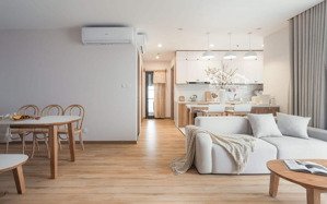chdv hxh khu phan xích long, 150m2, 7x22m; dòng tiền 55 triệu/tháng, 20 phòng ngủ, chỉ 22,9 tỷ tl