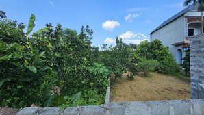 bán đất 250m2 tại đường 21, chương mỹ, hà nội, giá tốt 14 / m2,
