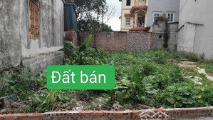 đất long biên# bồ đề# ái mộ #thạch bàn#... hàng xóm aeon- giá hạt dẻ- thông số vàngvị trí đắc địa