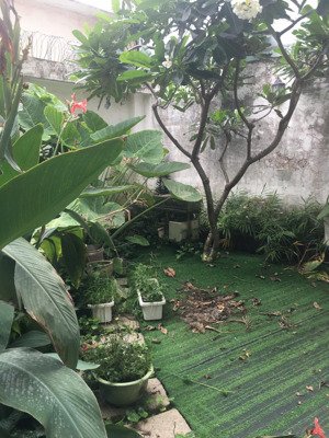 bán nhà biệt thự cao cấp gần nguyễn duy trinh và nguyễn thị định phường bình trưng tây quận 2