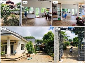 ⭐Chính chủ cho thuê hoặc bán biệt thự tại trung tâm TP.Bà Rịa; 0918581589