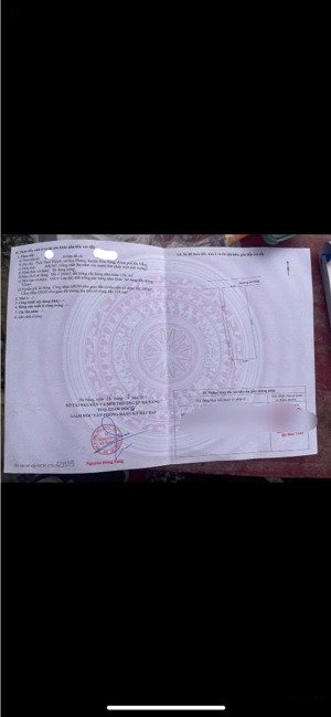 đất xây nhà vườn 368m2 có 240m2 đất ở vuông vắn gần nam kỳ khởi nghĩa.