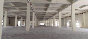 cho thuê kho xưởng đẹp, pccc tự động, bảo vệ 24/24, hàng hiếm, giá tốt