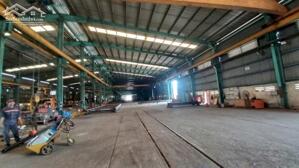 Cho thuê nhà xưởng và đất 24,560m² giá chỉ 895 triệu. KCN Nhơn Trạch-Đồng Nai