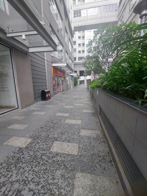 bán shophouse 8,3 tỷ, 103m2 tại lexington residence, an phú, q2, hcm, giá tốt
