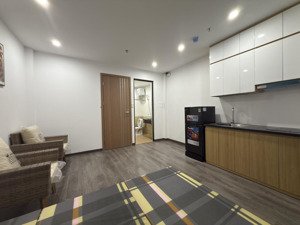 cho thuê căn hộ mini full nội thất
