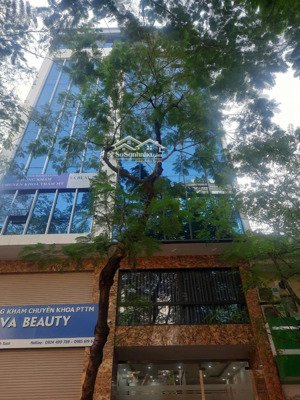 mặt phố kinh doanh cho thuê dòng tiền 300tr/th văn cao thang máy 10tầng 101.2m2 mt6.2m 85tỷ ba đình