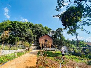 bán nhà vườn nghỉ dưỡng phường xuân lập điện nước đầy đủ sử dụng ngay