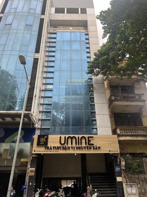 cho thuê nhà mặt phố đặng tiến đông, diện tích 90m2 x 6 tầng, mặt tiền 6m làm mọi mô hình đều được.