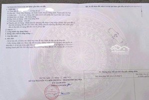 hoa hậu cực hiếm duy nhất 1 mảnh hoa hậu văn thượng, xuân canh đông anh