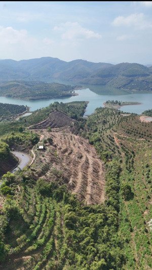 đất làm trang trại nghỉ dưỡng tại đắk lắk, mặt tiền quốc lộ 27, sẵn nước, thuận tiện trồng cây