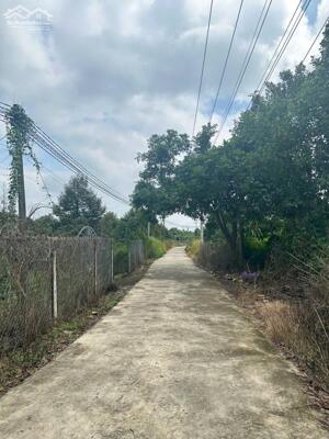 Đất rẻ phú lập 2000/m 22x100