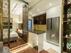 cho thuê 1pn 1wc tại wilton tower bình thạnh (cách trạm metro tân cảng 500m)