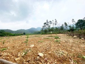 bán đất xã quảng châu tp hưng yên mảnh đất vuông vắn, nở hậu