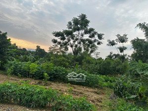 chính chủ bán 1000m2 đất thổ cư đông yên, huyện quốc oai, sdcc. lh 