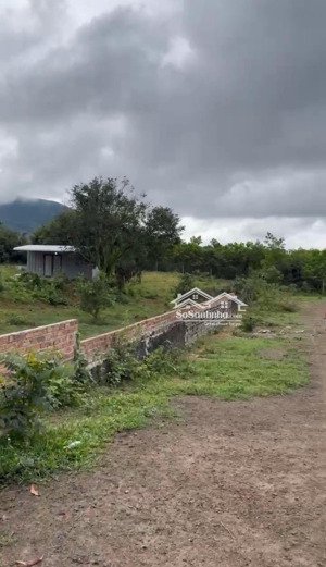 chính chủ gởi bán 2000m2 đất trồng cây lâu năm tại đường 20m vạn thành - hoà ninh
giá : 1ty850 tl