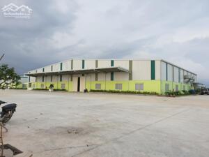 Cho thuê kho xưởng 3500m2 giá 160 triệu Tân Đông Hiệp/ Dĩ An.
