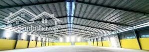 Cho thuê kho 100, 500, 1000m2, 10000m2 KCN Sóng Thần 1, dịch vụ quản lý - bốc xếp chuyên nghiệp