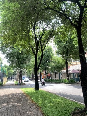 biệt thự nguyễn du 323m2 hoàn công đủ, hẻm 2 xe hơi, ngang khủng 8m, shr, quận 1 hiếm.