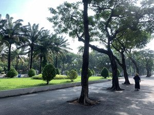 siêu phẩm đất đẹp nguyễn trãi quận 1, hẻm thông sạch 45m2 c4, xây chdv, chỉ 8.35 tỷ, shr vuông đẹp