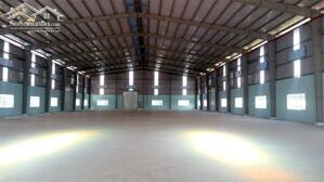 Cho thuê kho xưởng -4000-5500m2-KP Bình Đức- P. Bình Hòa -Thuận An- Bình Dương