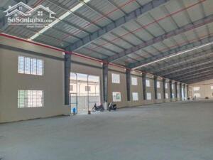 Cho thuê kho xưởng 8000m2, 300tr Thuận An