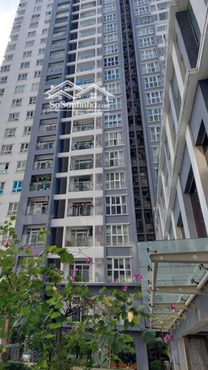 cho thuê căn hộ cao cấp. mt nguyễn hữu thọ. view hồ bơi vô cực. có giường tầng cho trẻ em