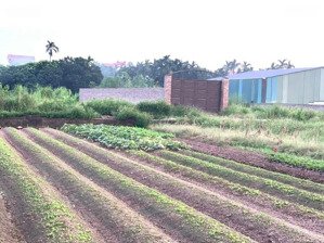 chính chủ bán đất vườn 1186m2 tại song phương, hoài đức