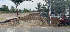 ngộp bán gấp đất mặt tiền huỳnh văn nam, đông thạnh, giá ngộp: 1.65tỷ tl, dt: 206m2 thổ cư, shr