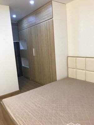 cho thuê căn hộ chung cư 219 trung kính