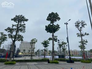 BÁN NHÀ PHỐ BÀ TRIỆU TP SẦM SƠN, KINH DOANH BUÔN BÁN
