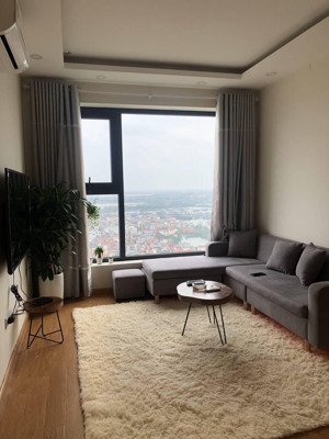 cho thuê nhanh căn hộ full đồ chung cư đồng phát parkview, giao nhà ngay, mtg