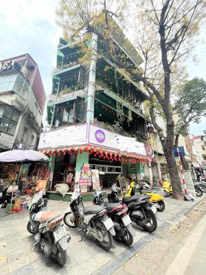 cực hot !cho thuê cửa hàng kinh doanh mặt phố trúc bạch - dt 360m - mt 11m - nhận diện thương hiệu