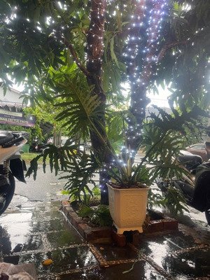 bán nhà cấp 4 kiệt đường triệu quốc đạt - hoà thọ đông - cẩm lệ - đà nẵng