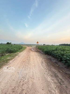 bán đất ngộp của dân có sổ sẵn, 1000m2. gần núi bà đen