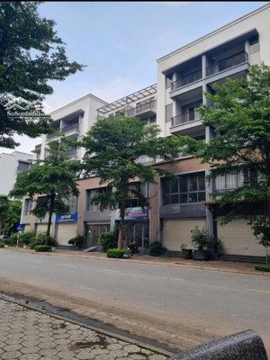 cần bán shophouse tms phúc yên - đã hoàn thiện, vào ở hoặc kinh doanh ngay diện tích: 75m²