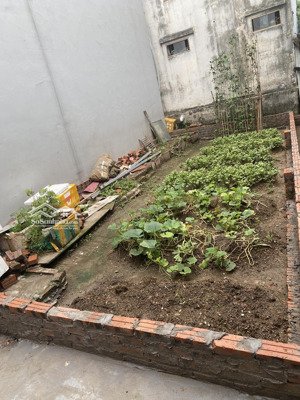 tài chính nhỏ sở hữu mảnh đất tiềm năng tại võng la đông anh hà nội