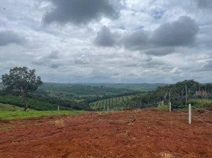 đất nền vùng ven kiến đức giá ngợp