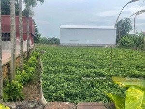bán đất fo nhất trai minh tân lương tài dt 106m mt 6m ngõ ôtô dân cư đông đúc trường cách 400m