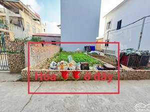 bán gấp đất tại hương mạc, từ sơn, bắc ninh, dt62m2, mt4,2m, cạnh trường học, c1,c2, gần công viên